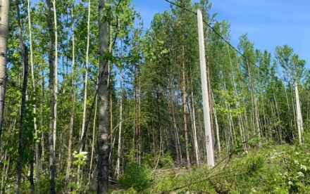 Декабристов